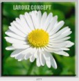 /album/photo-gallery-canvas-uri/decoratiuni-de-perete-canvas-lc-0777-jpg/